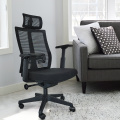 Factory SGS BIFMA Standard Competitive price mesh chair office ergonomic with height adjustable big lumbar support